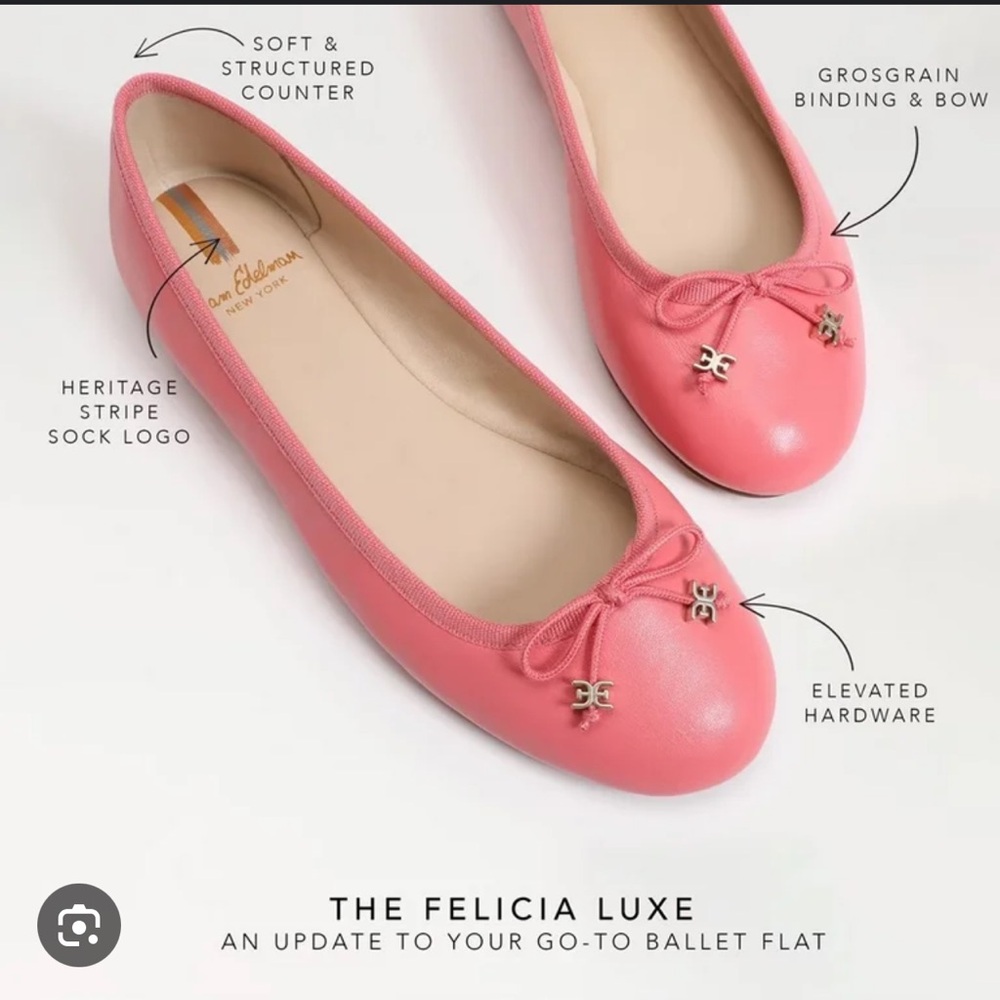 New with box Sam Edelman flats